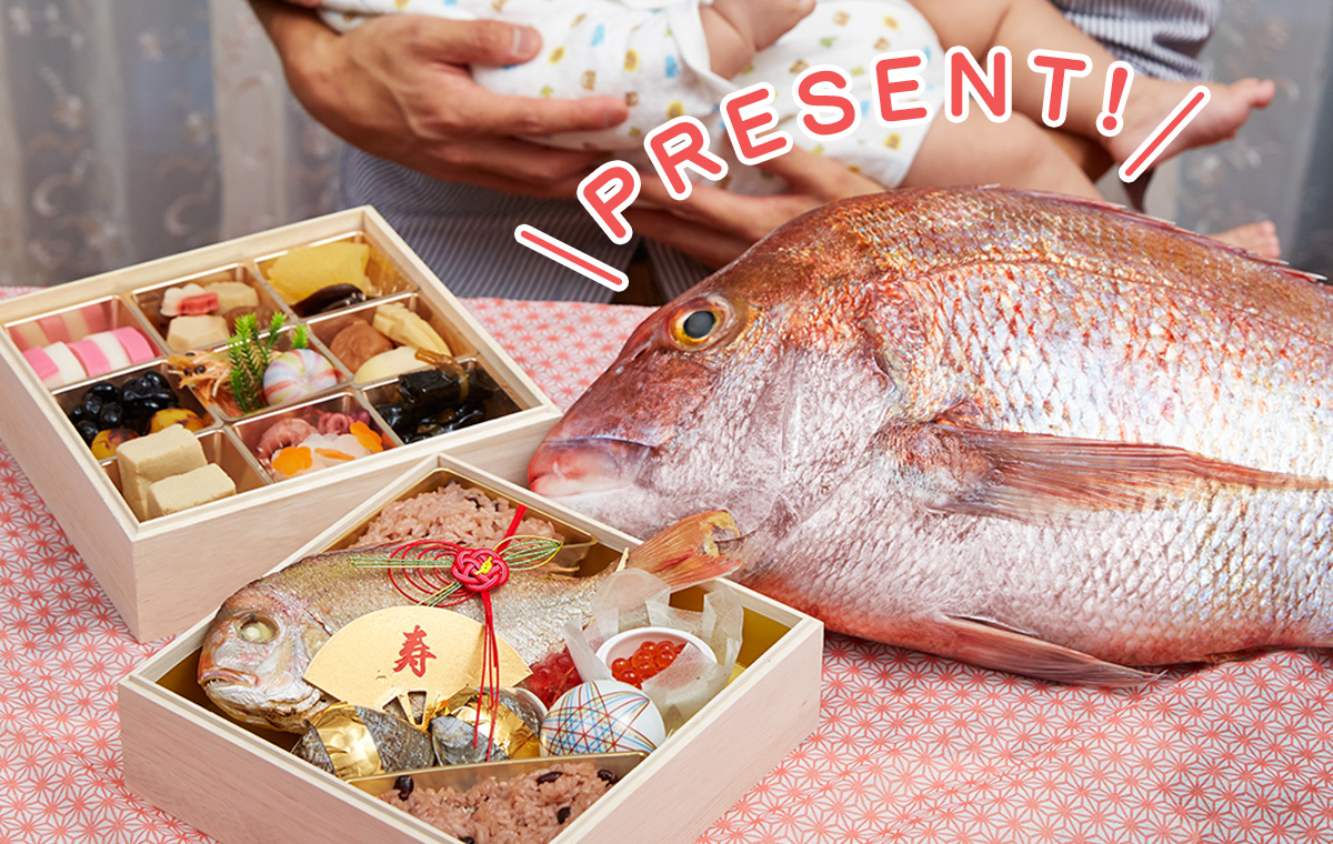 日本一のお食い初め 特大のおめで 鯛 をプレゼント お食い初め Jp